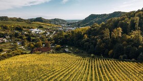 Chateau Ramsak
