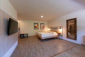 Hotel Arena