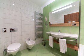 Hotel Arena