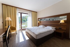 Hotel Arena
