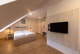 Hotel Arena