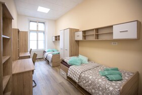 Mini Dorm Rooms