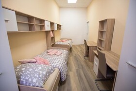 Mini Dorm Rooms