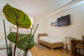 Mlada Lipa Guesthouse