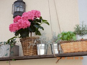 The Guesthouse Parma