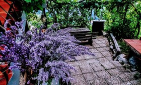 Vineyard Cottage Vercek
