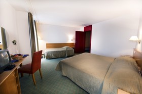 Hotel Vile Park
