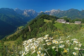 Farmhouse Stiftar