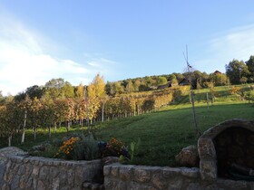 Vineyard Cottage Pod Piramido