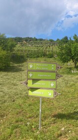 Vineyard Cottage Pod Piramido