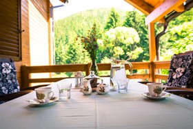Cozy Chalets WILI HUNTER