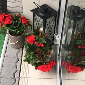 Urpin City Residence