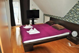 Orlan