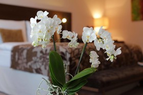 Hotel Zochova chata