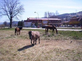 Motel Ranc