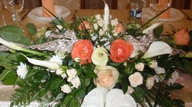 Hotel Plauter Kuria