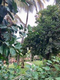 Hotel Jardin Savana Dakar
