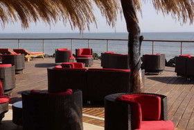 Royal Horizons Baobab