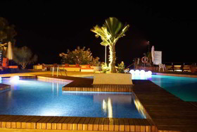 Royal Horizons Baobab