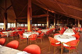 Royal Horizons Baobab