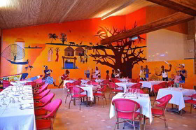 Royal Horizons Baobab