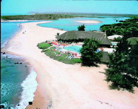Royal Horizons Baobab