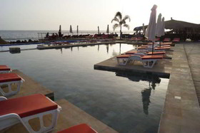 Royal Horizons Baobab