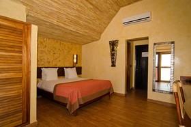 Royal Horizons Baobab
