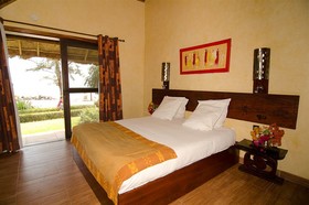 Royal Horizons Baobab