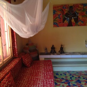 Baobab Belge