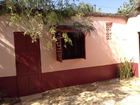 Baobab Belge
