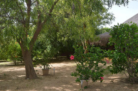 Gîte l'Anacardier