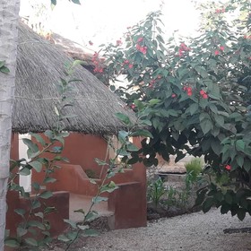 Campement Baobab