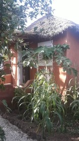 Campement Baobab