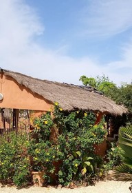 Campement Baobab