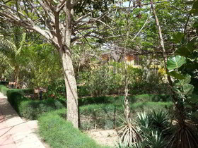 Hotel Club Royal Saly