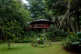 Bom Bom - Principe Collection