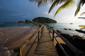 Bom Bom - Principe Collection