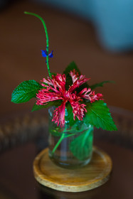 Roça Sundy - Principe Collection