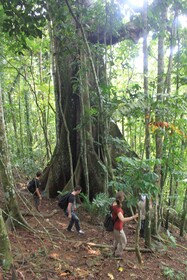Belo Monte Hotel