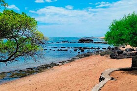 Quinta Luna Mar