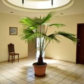 Hotel Casa Berlin