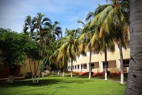Hotel Pacific Paradise
