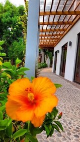 Hotel El Viajero