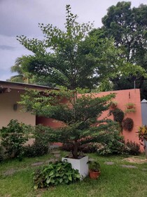 Hotel El Viajero