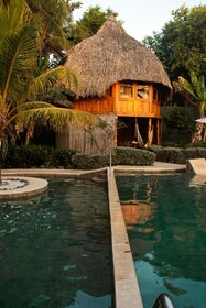 Hotel Tortuga Village Costa del Sol