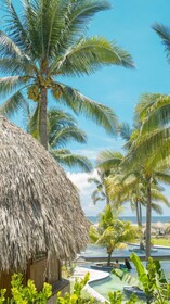 Hotel Tortuga Village Costa del Sol