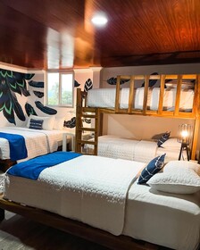 Hotel Tortuga Village Costa del Sol