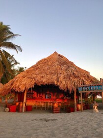 Hotel Tortuga Village Costa del Sol
