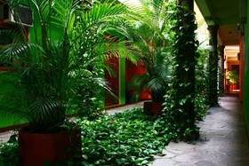 Árbol de Fuego Eco-Hotel